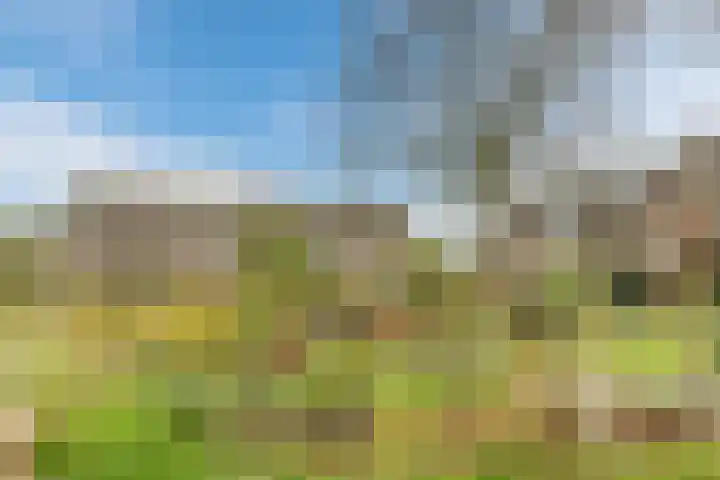 Kwikstaartweide 25 Wageningen thumbnail 38