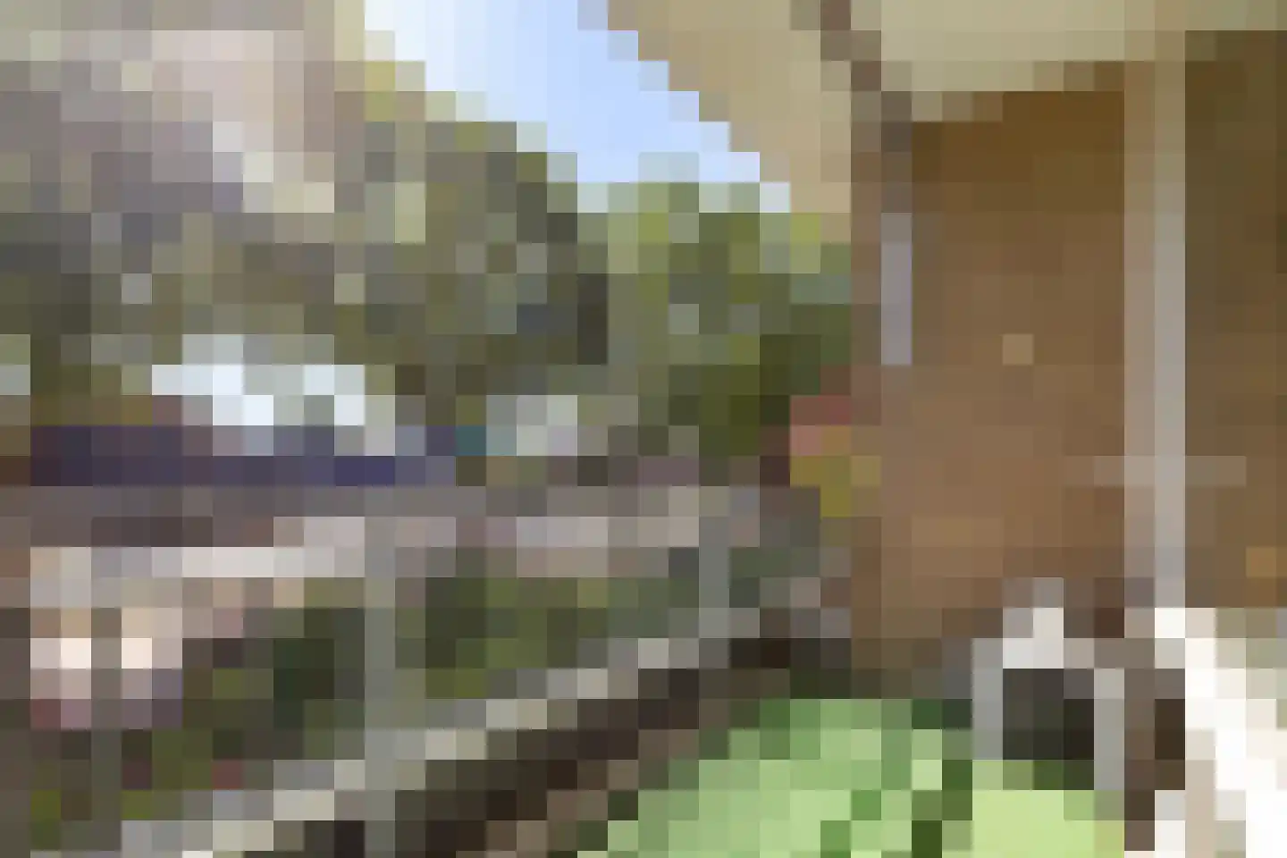 Kwikstraat 18 Apeldoorn thumbnail 8