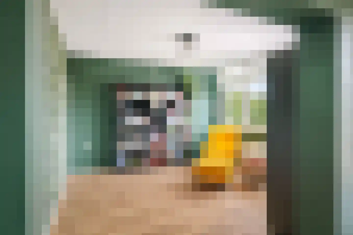Kwikstraat 42 Apeldoorn thumbnail 13
