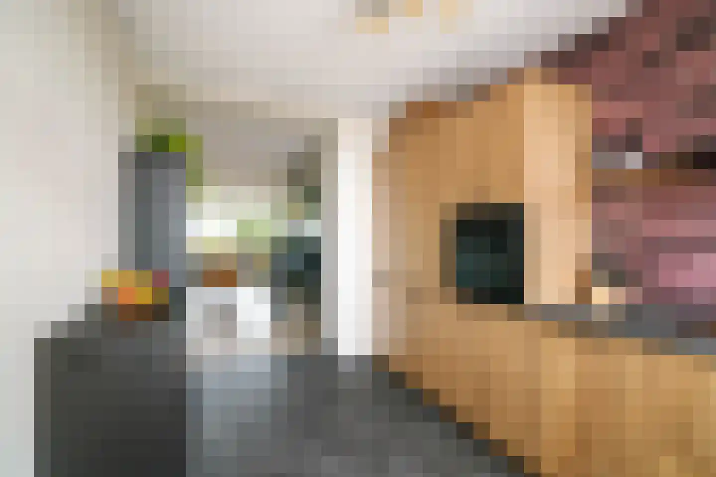 Kwikstraat 42 Apeldoorn thumbnail 9