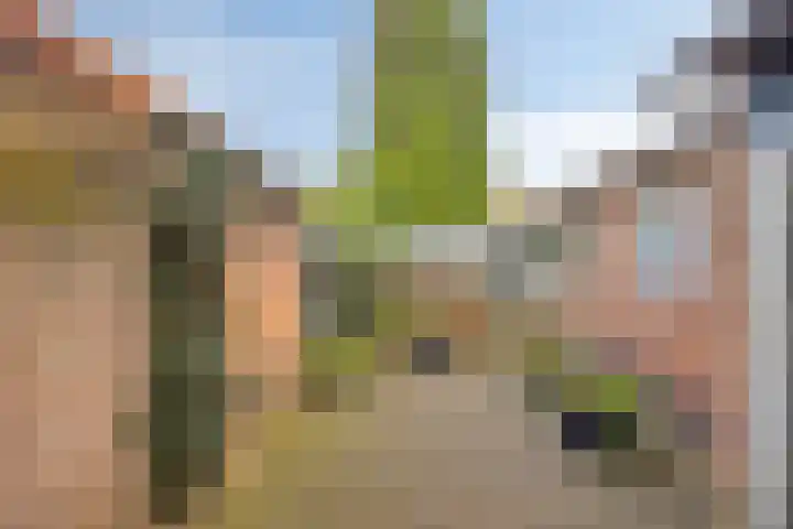 Kwikstraat 56 Apeldoorn thumbnail 23
