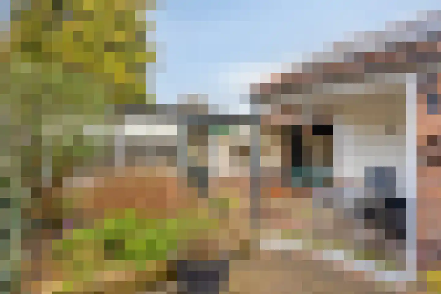 Kwikstraat 56 Apeldoorn thumbnail 24