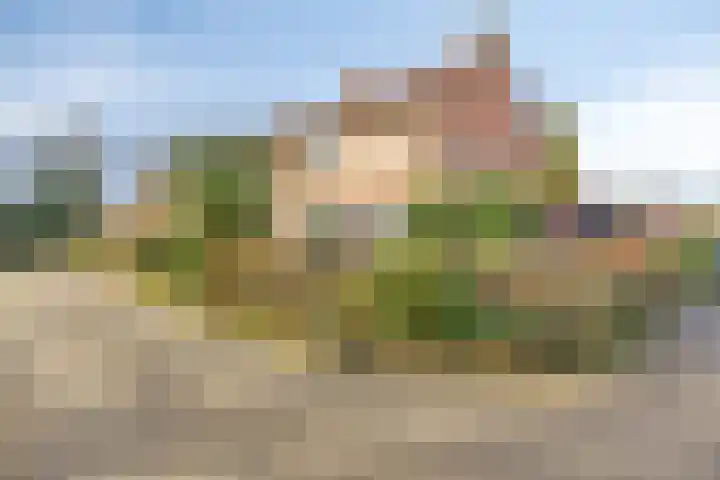 Kwikstraat 56 Apeldoorn thumbnail 33