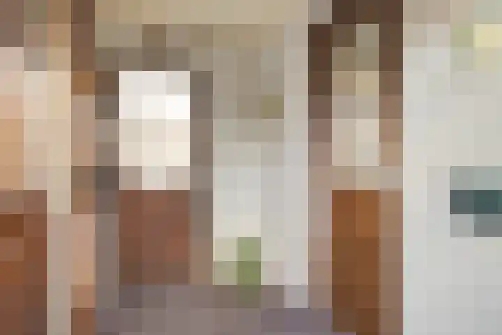 Kwikstraat 56 Apeldoorn thumbnail 5