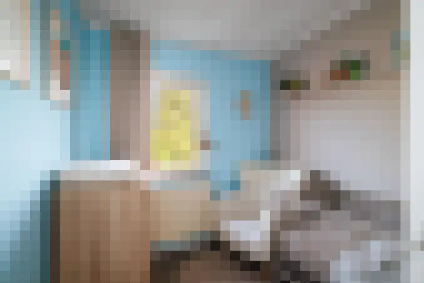 Kwikstraat 58 Apeldoorn thumbnail 15