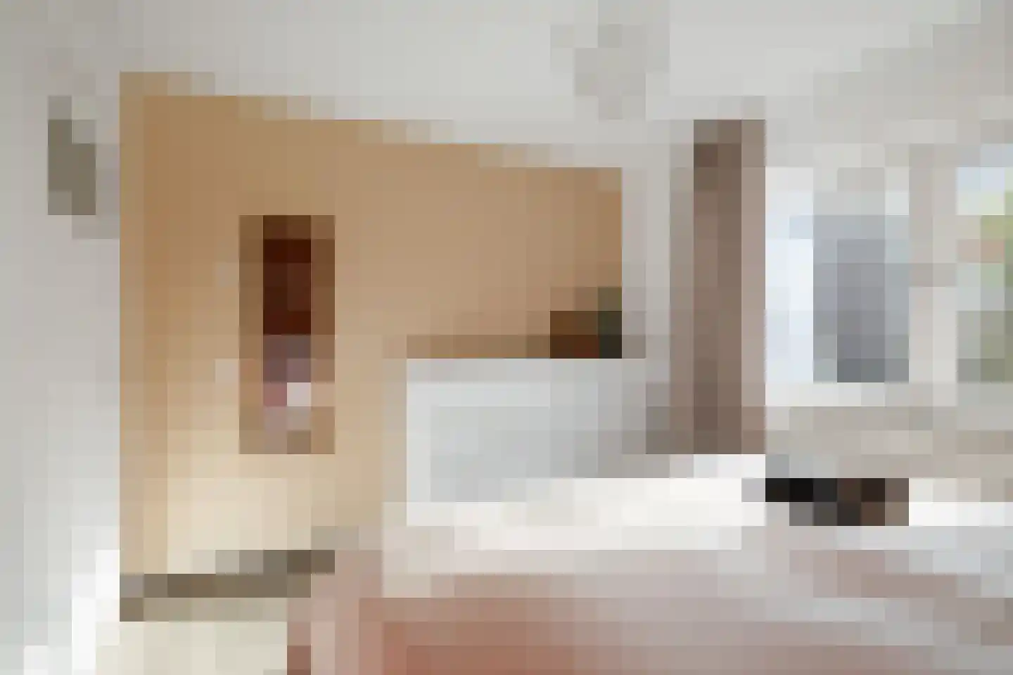 Kwikstraat 58 Apeldoorn thumbnail 19