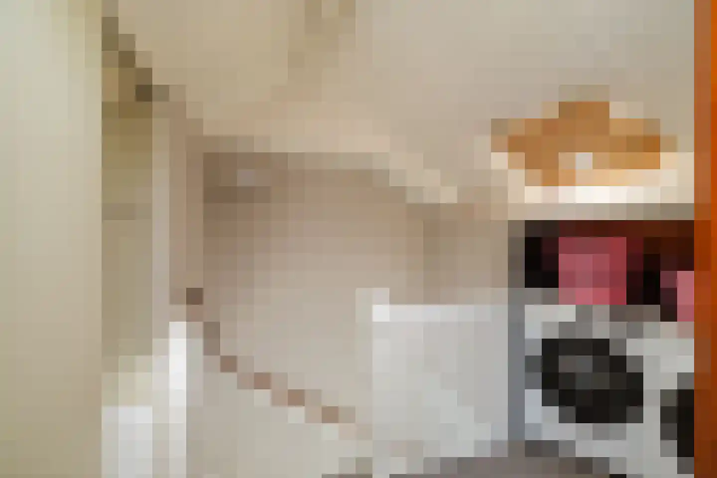 Kwikstraat 58 Apeldoorn thumbnail 22