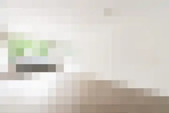 Kwikstraat 6 Apeldoorn thumbnail 7