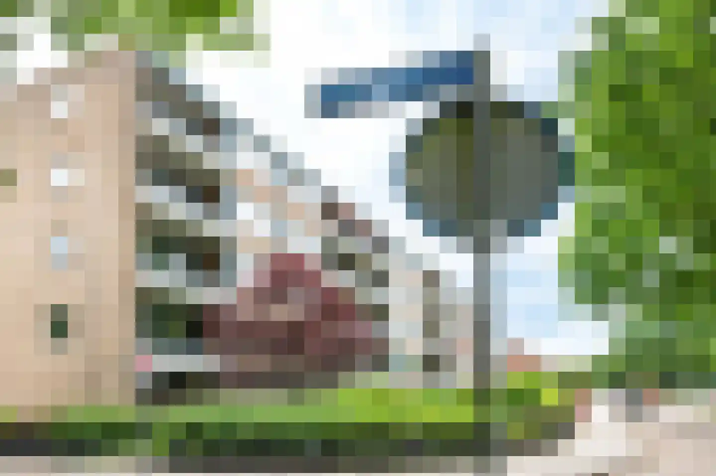 Kwikstraat 8 Apeldoorn thumbnail 30