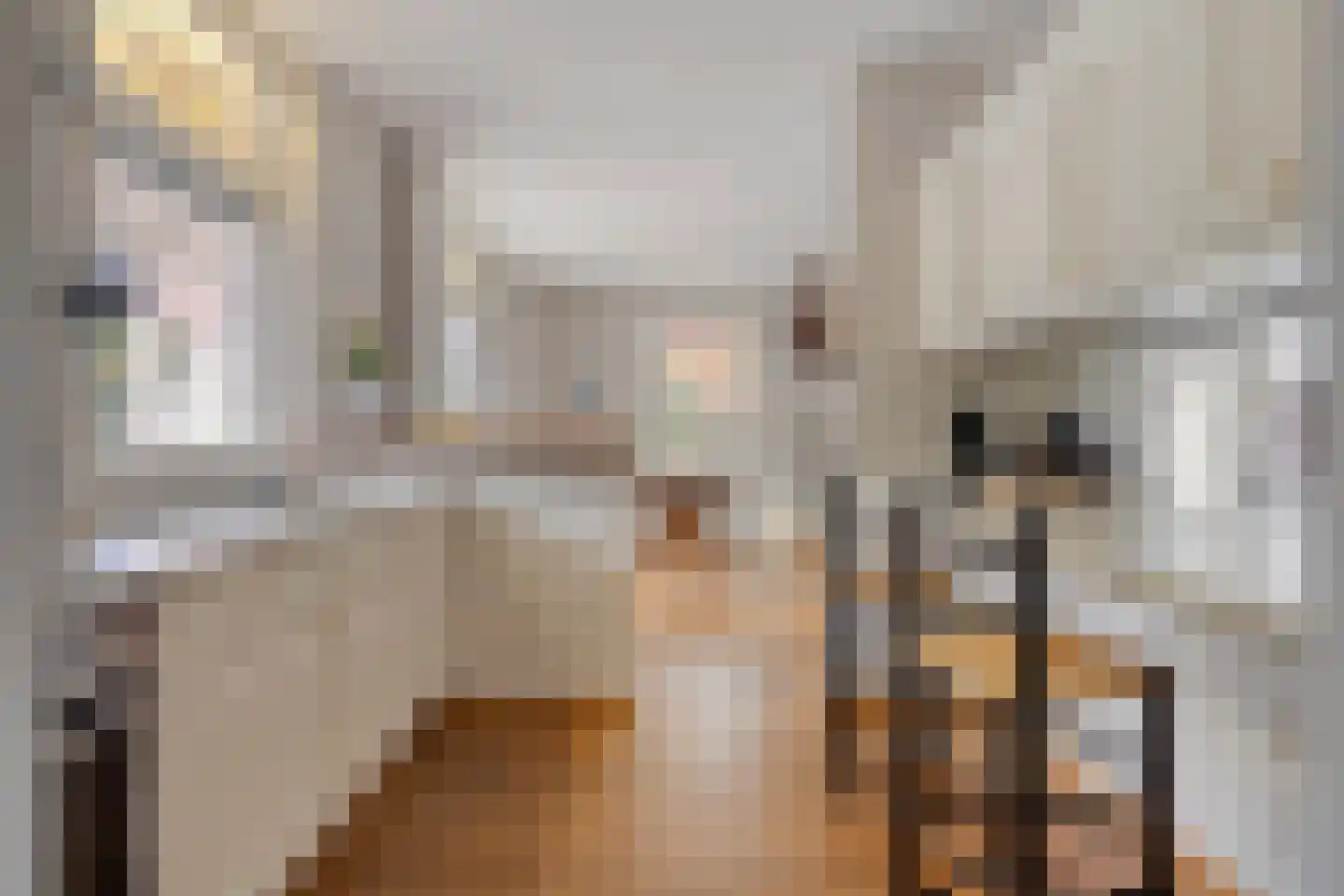 Kwikzeel 2 Berlicum thumbnail 14