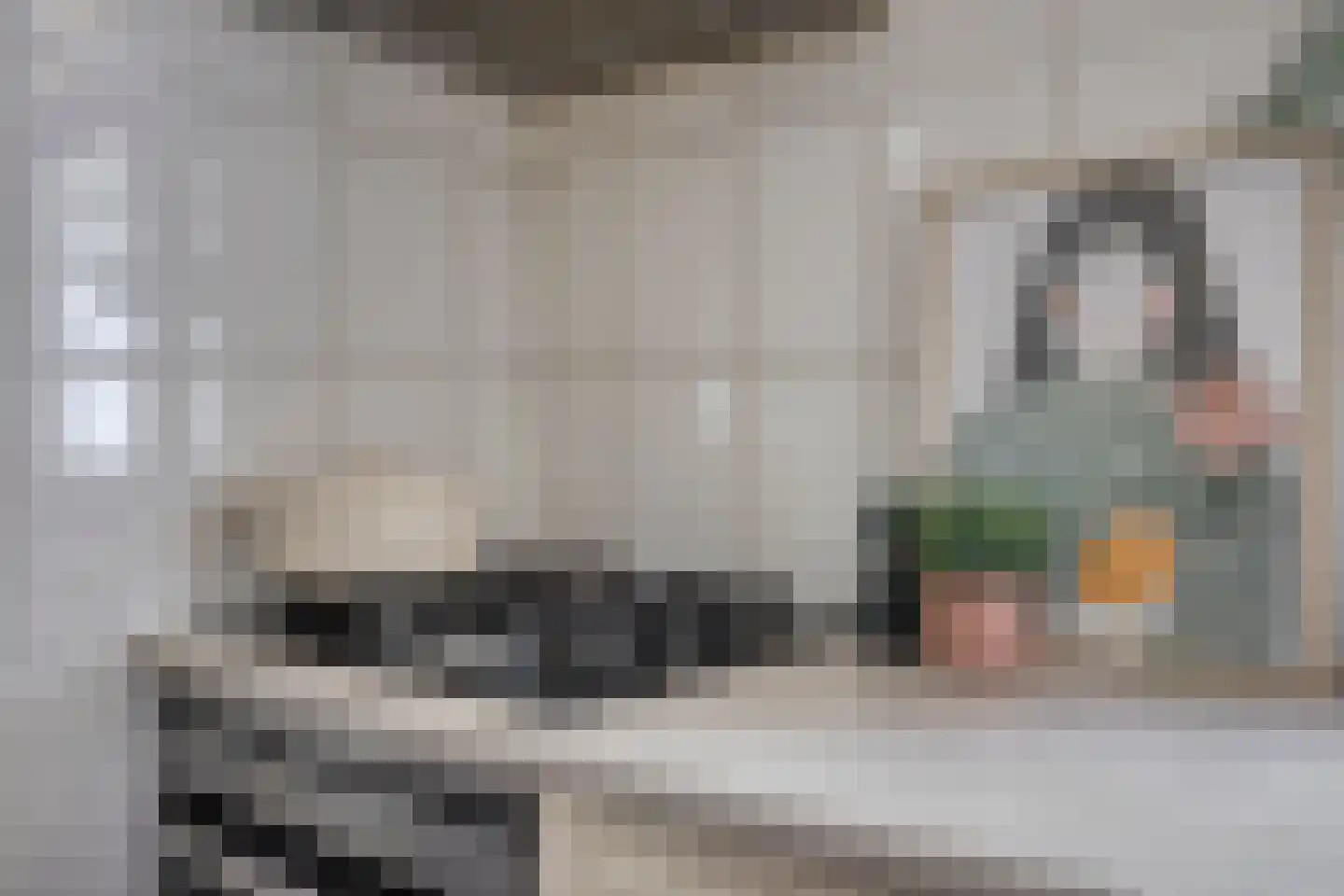 Kwikzeel 2 Berlicum thumbnail 15