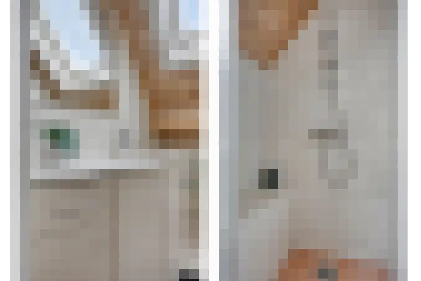 Kwikzeel 2 Berlicum thumbnail 26