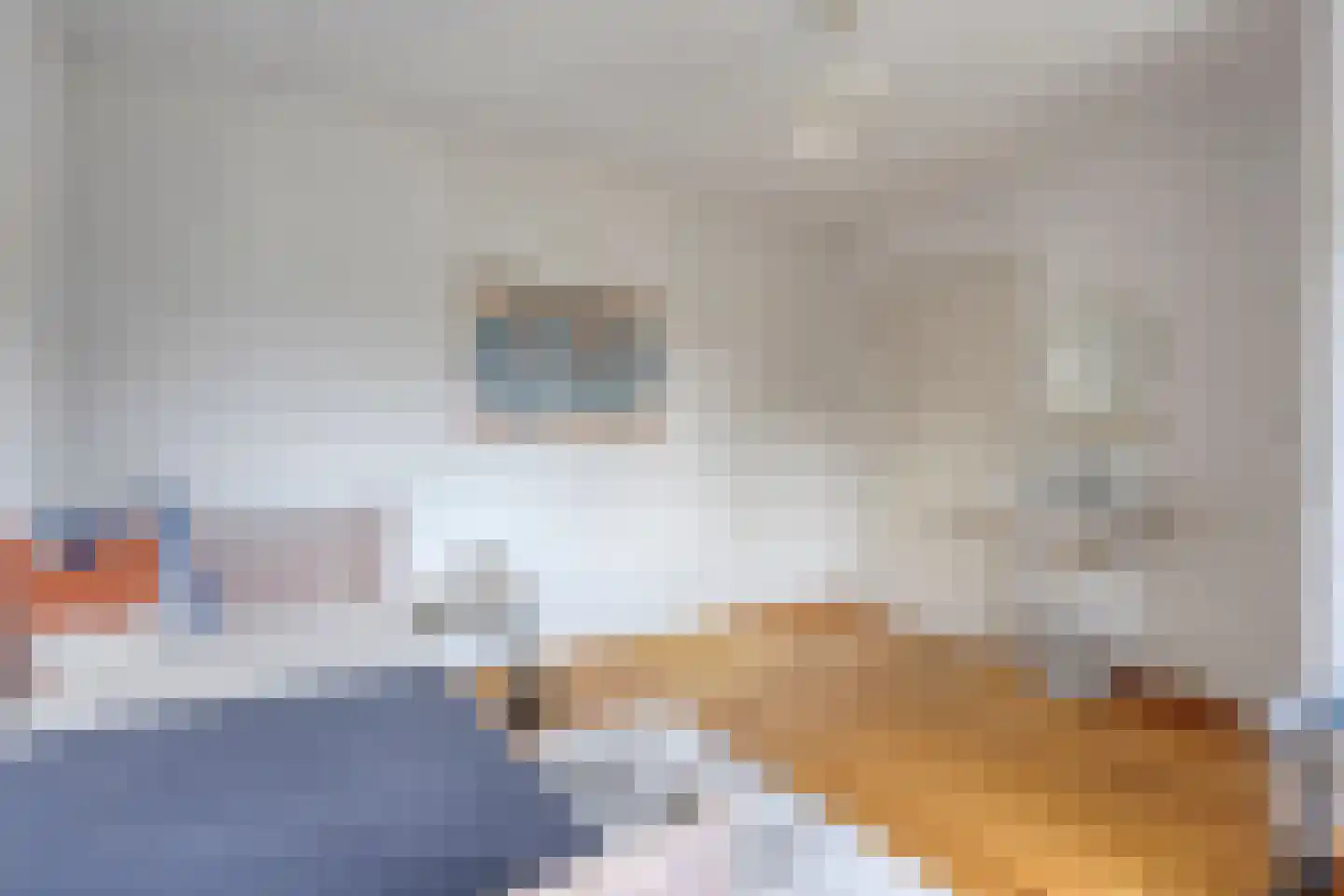 Kwikzeel 2 Berlicum thumbnail 28