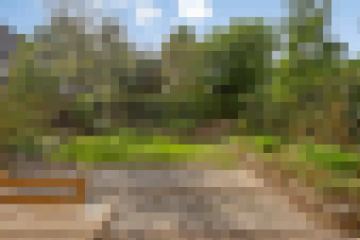Kwikzeel 2 Berlicum foto 3