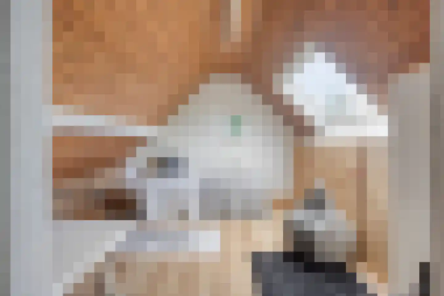 Kwikzeel 2 Berlicum thumbnail 30