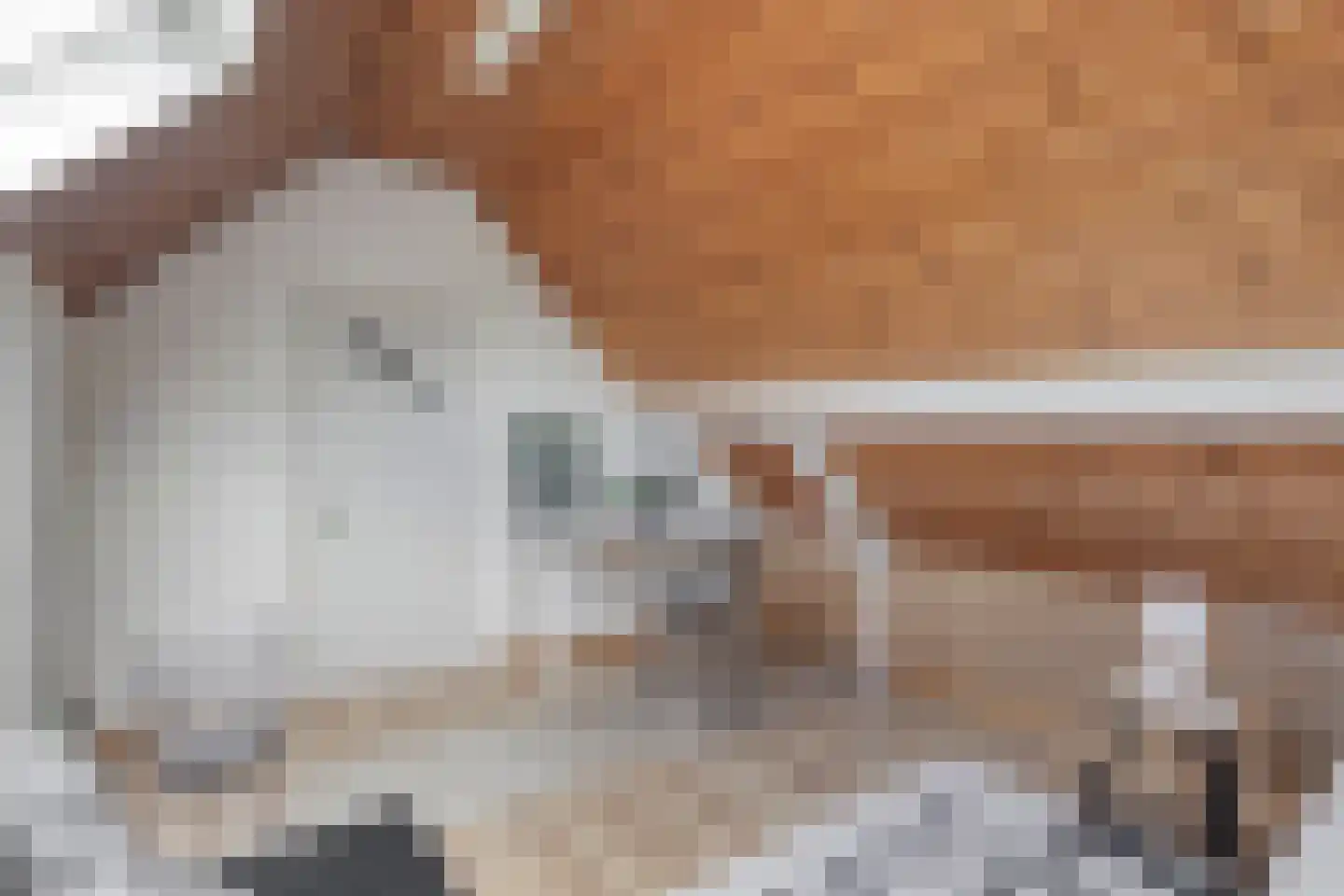 Kwikzeel 2 Berlicum thumbnail 31