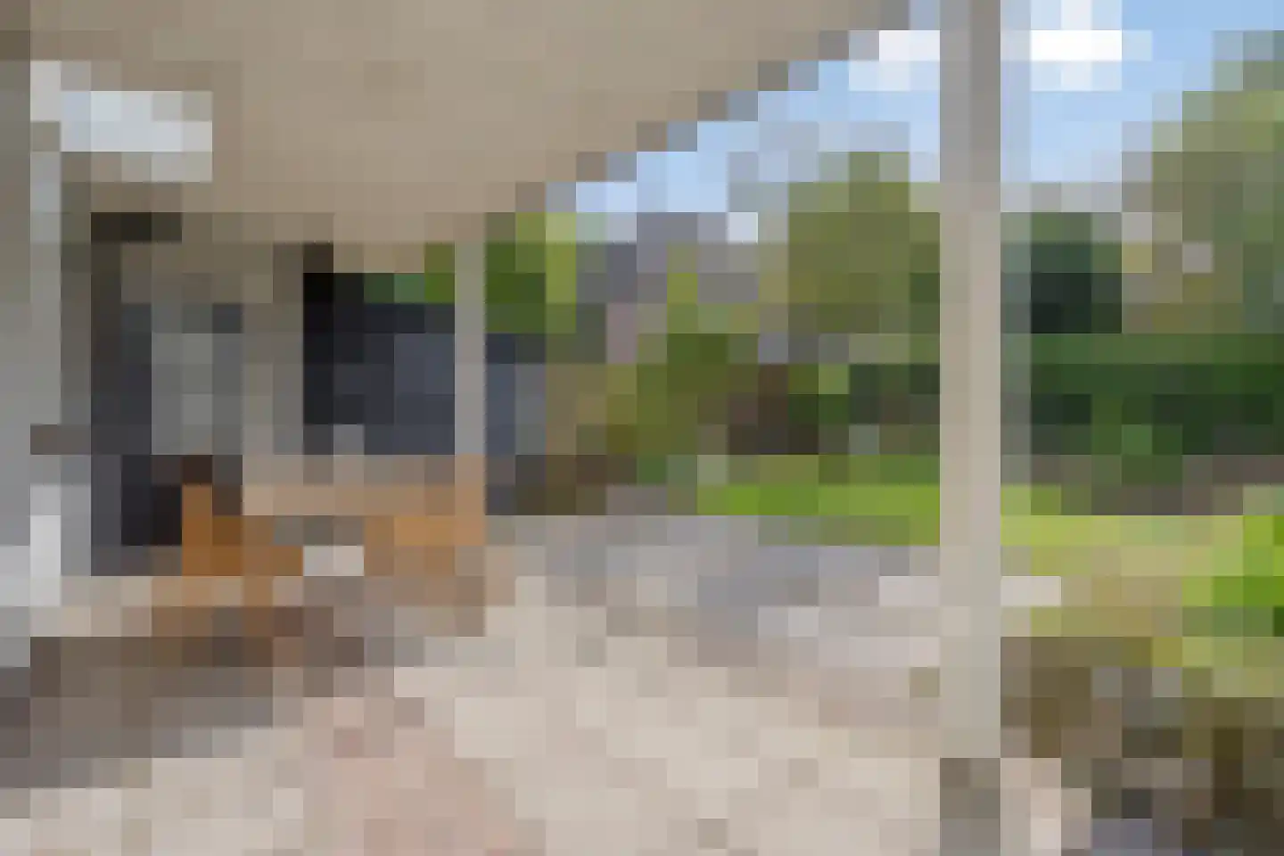 Kwikzeel 2 Berlicum thumbnail 34