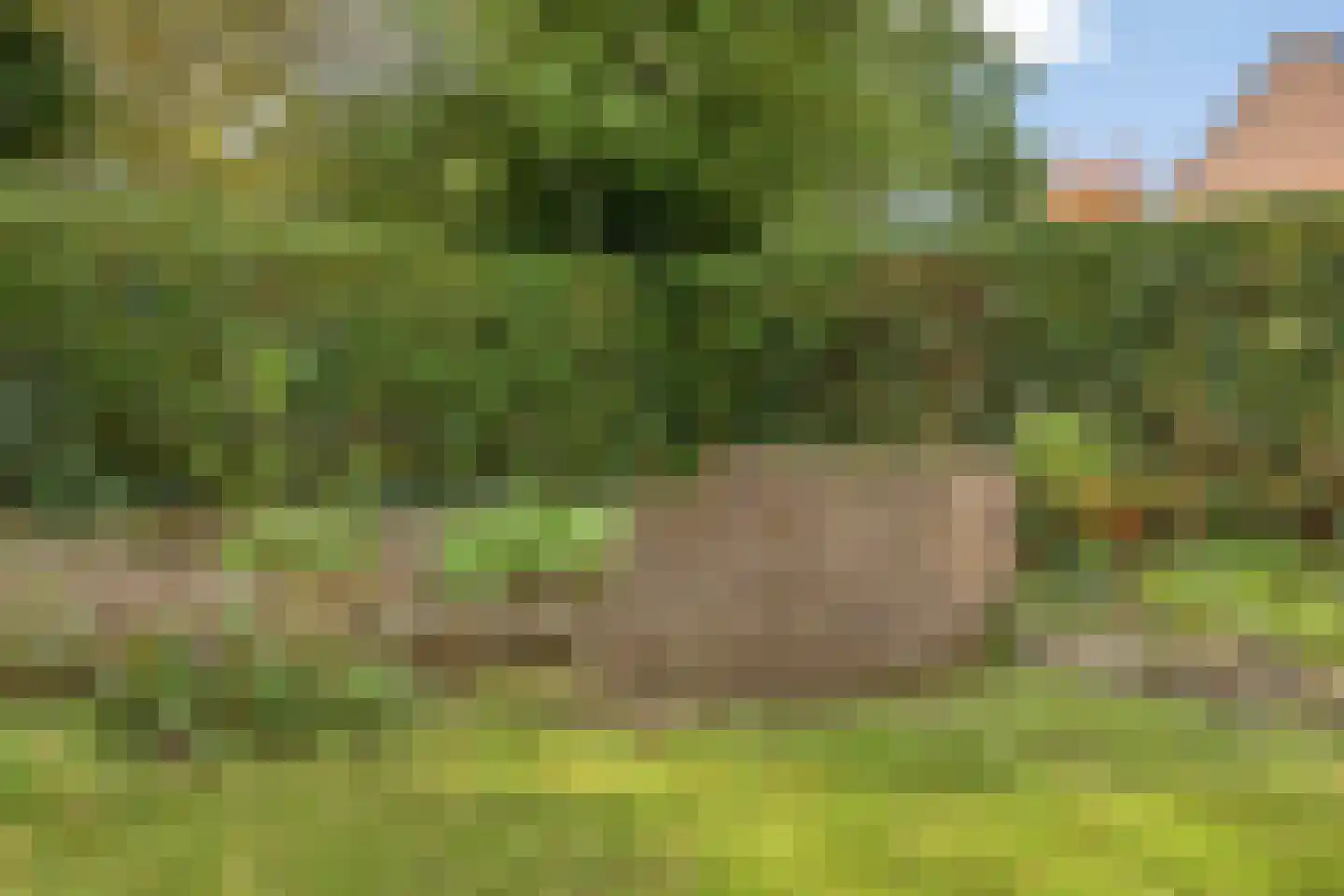 Kwikzeel 2 Berlicum thumbnail 36
