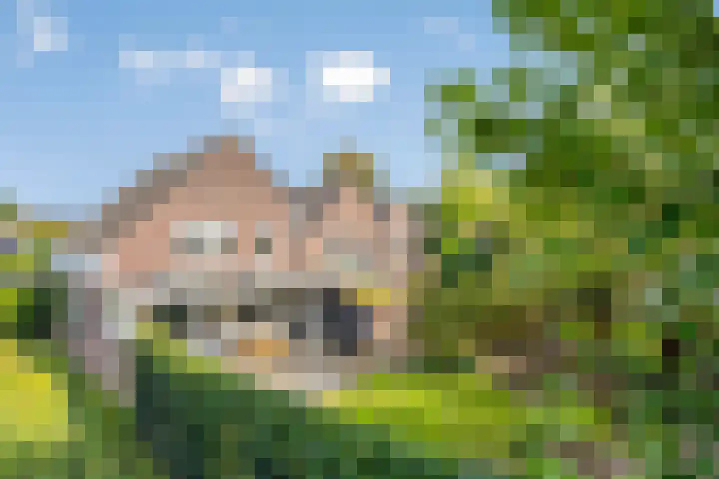 Kwikzeel 2 Berlicum thumbnail 38