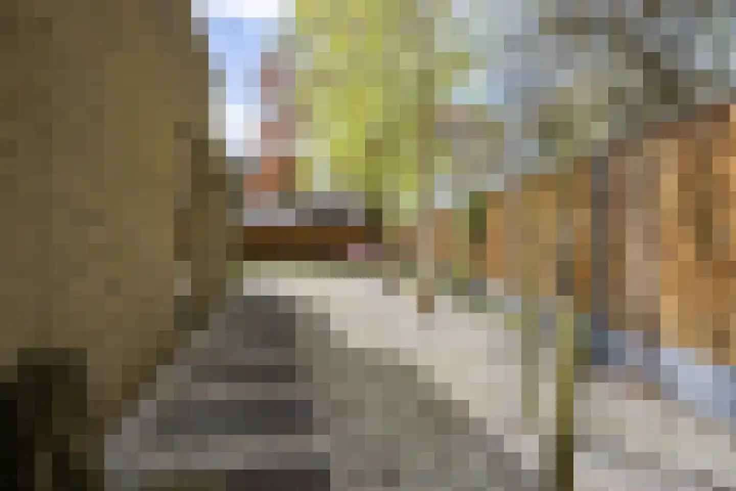 Kwinkelerweg 47 Enschede thumbnail 38