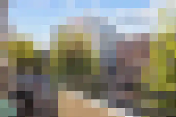 Kwinkenplein 23 Groningen thumbnail 16
