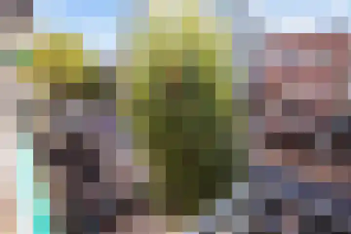 Kwinkenplein 23 Groningen thumbnail 17