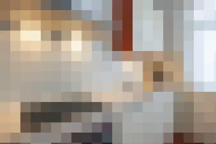 Kwinkenplein 23 Groningen thumbnail 19
