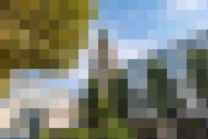 Kwinkenplein 23 Groningen thumbnail 33