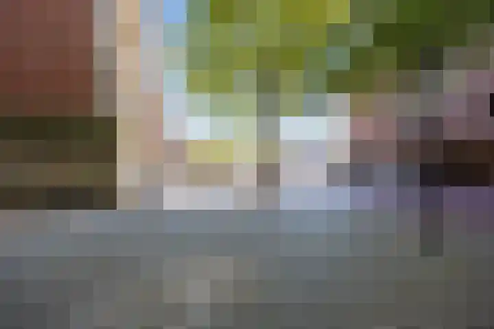 Kwinkenplein 23 Groningen thumbnail 34