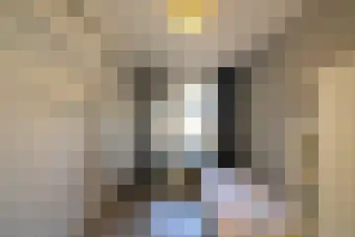 Kwinkenplein 39 Groningen thumbnail 13