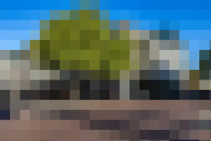 Kwinkenplein 39 Groningen thumbnail 27