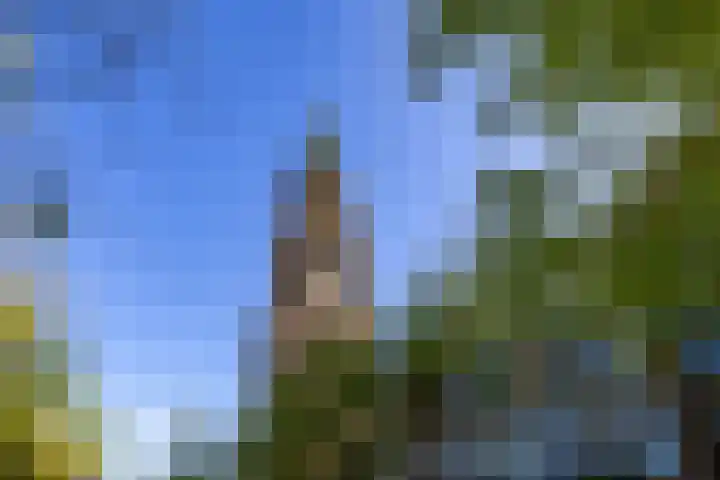 Kwinkenplein 39 Groningen thumbnail 28