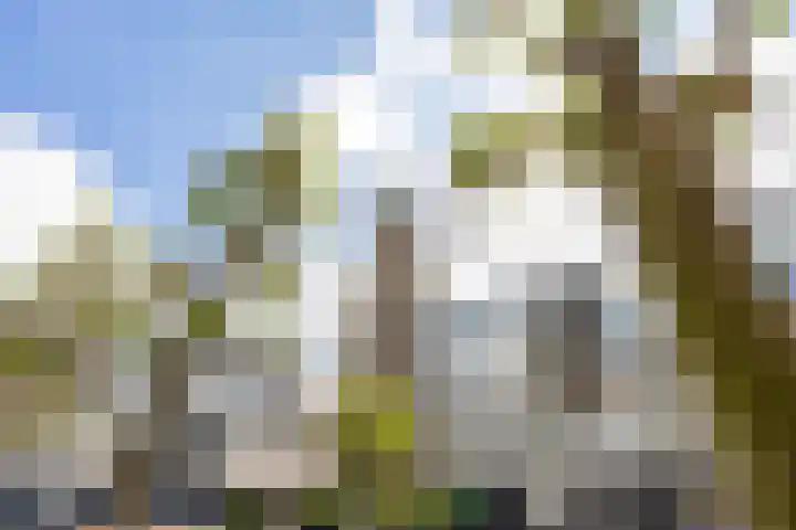 Kwinkenplein 41 Groningen thumbnail 41