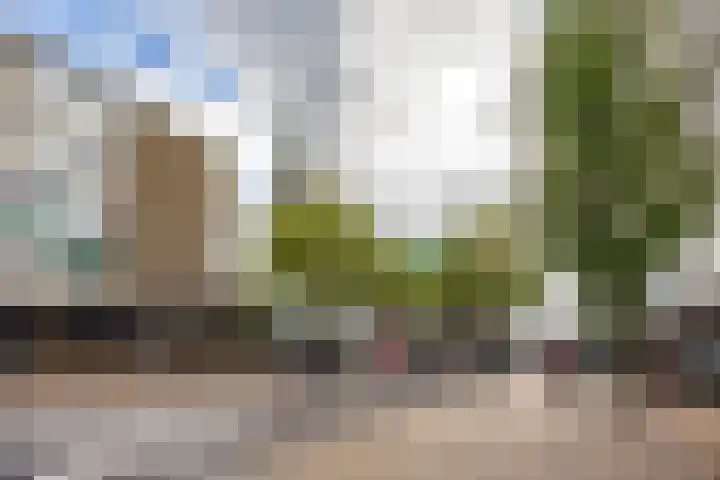 Kwinkenplein 41 Groningen thumbnail 6
