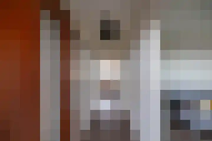 Kwinkenplein 71 Groningen thumbnail 17