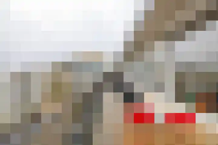 Kwinkenplein 71 Groningen thumbnail 20