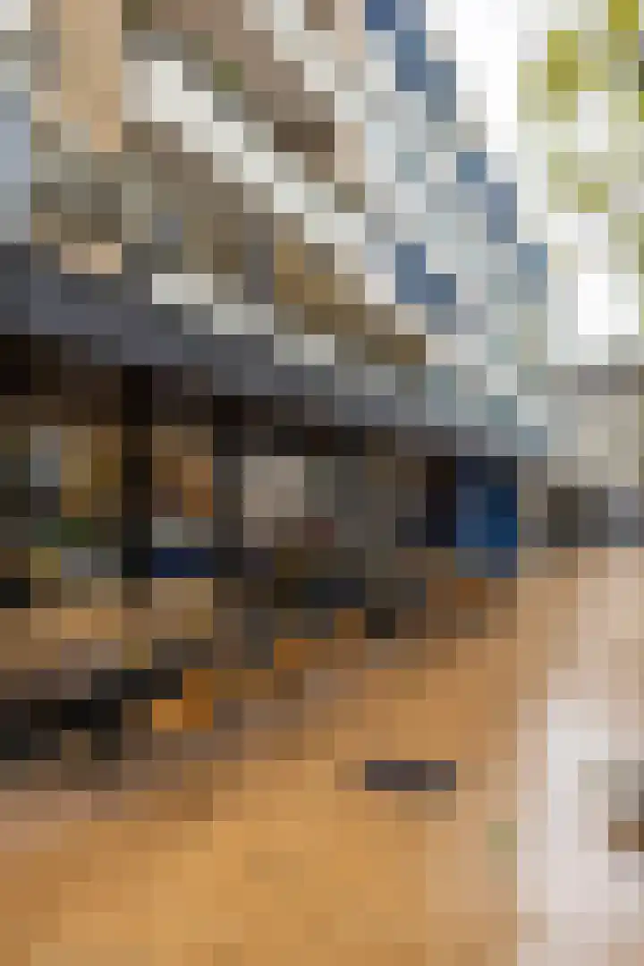 Kwinkenplein 71 Groningen thumbnail 31