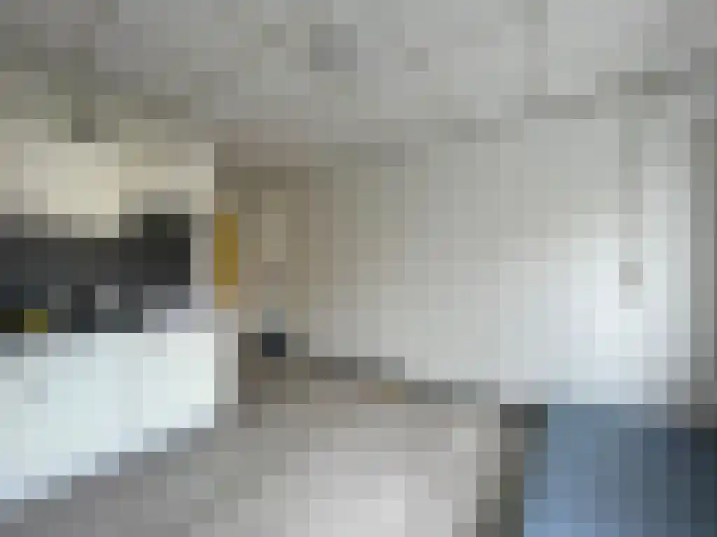 Kwinkenplein Groningen thumbnail 4