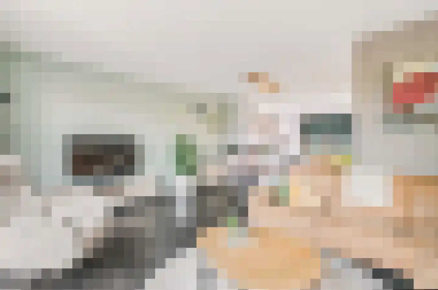 Kwinkslag 37 Apeldoorn thumbnail 14