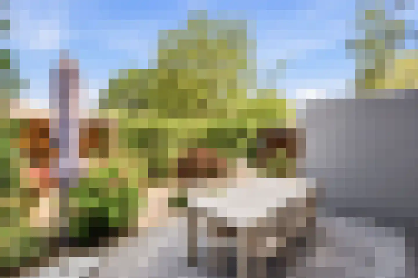 Kwinkslag 37 Apeldoorn thumbnail 16