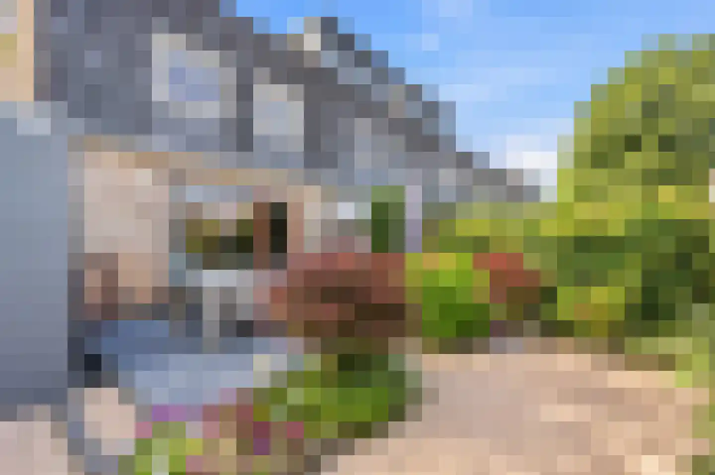 Kwinkslag 37 Apeldoorn thumbnail 26