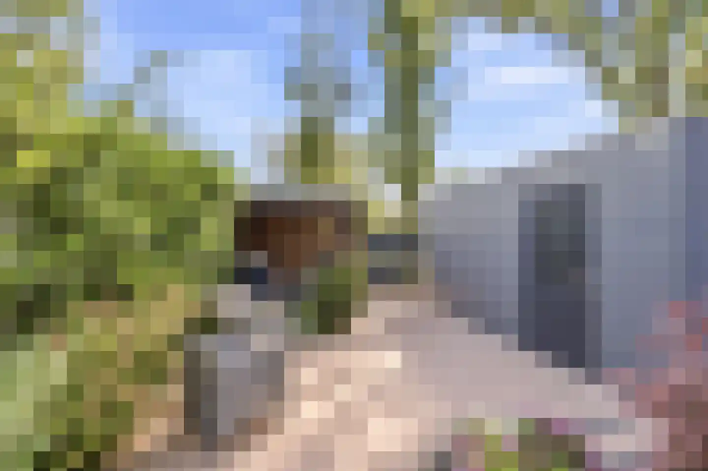 Kwinkslag 37 Apeldoorn thumbnail 28