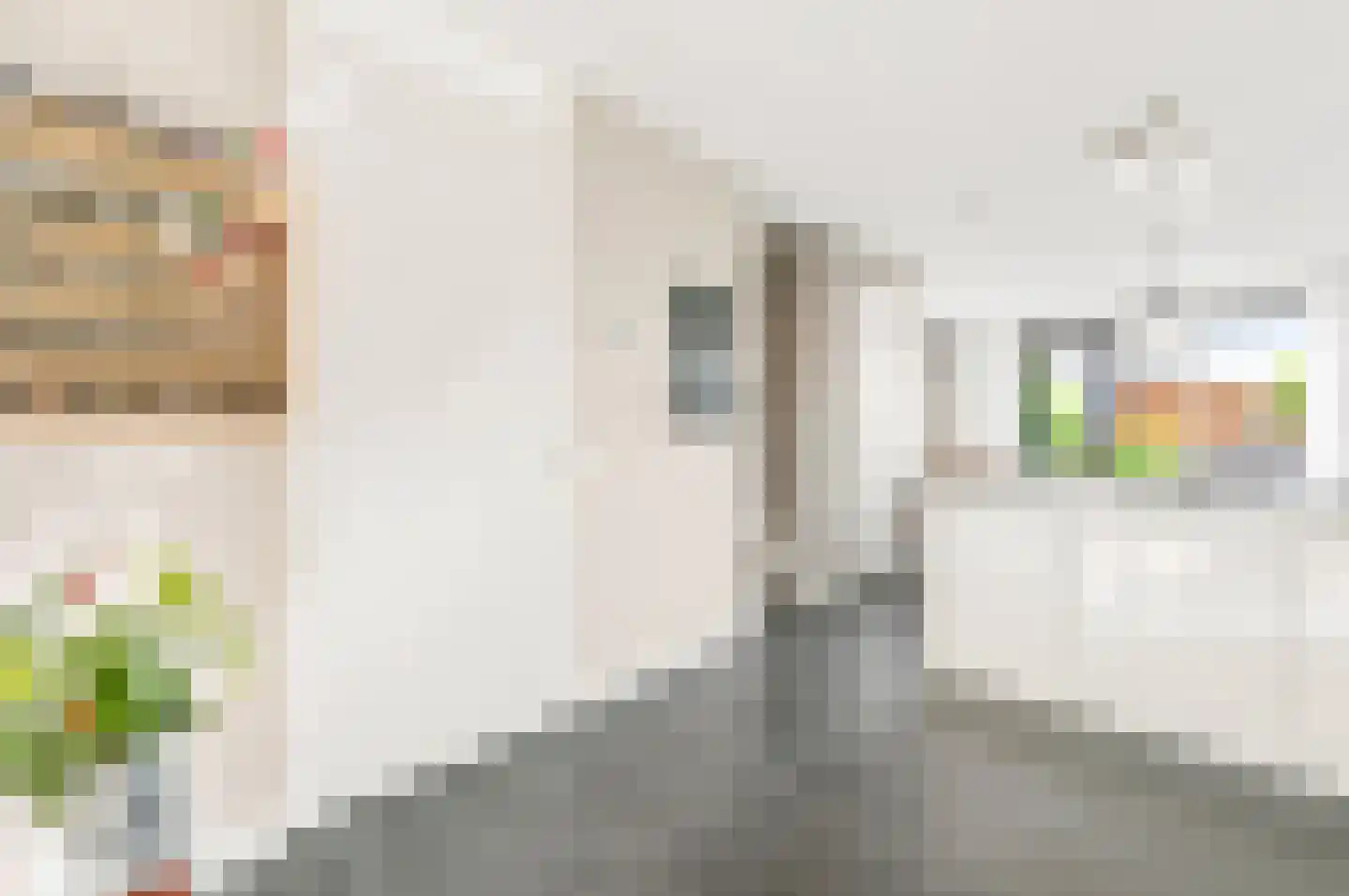 Kwinkslag 37 Apeldoorn thumbnail 8