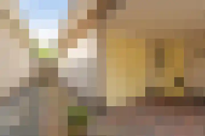 Kwint 3 Kampen thumbnail 10