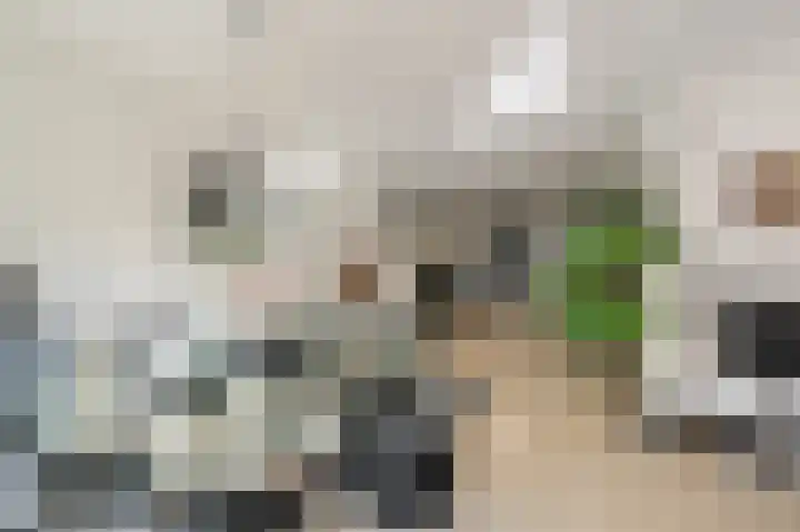 Kwint 3 Kampen thumbnail 20
