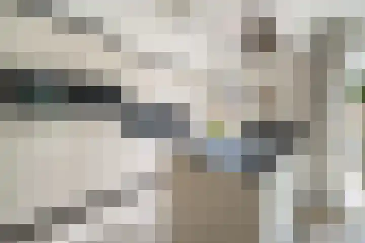 Kwint 3 Kampen thumbnail 23