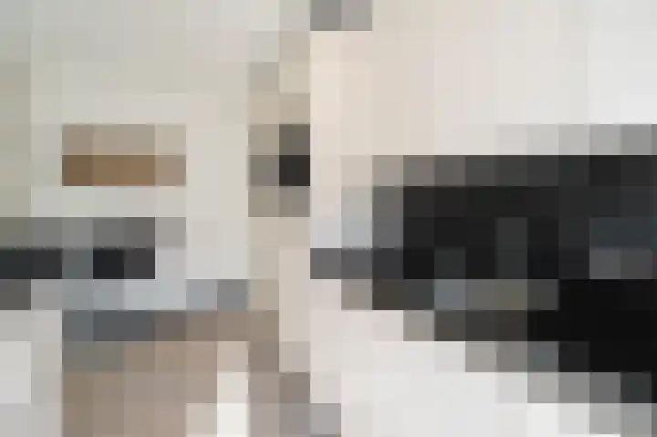 Kwint 3 Kampen thumbnail 24