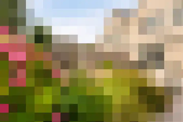 Kwint 3 Kampen thumbnail 29
