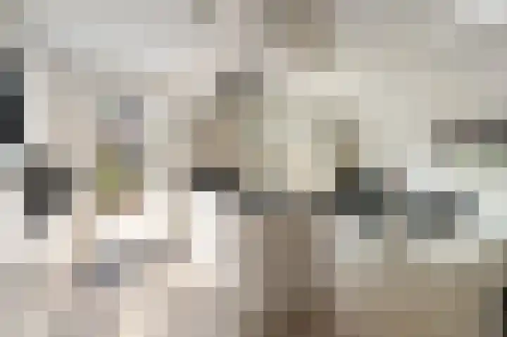 Kwint 3 Kampen thumbnail 4