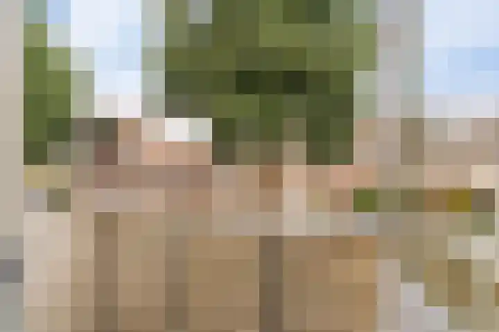 Kwint 3 Kampen thumbnail 40